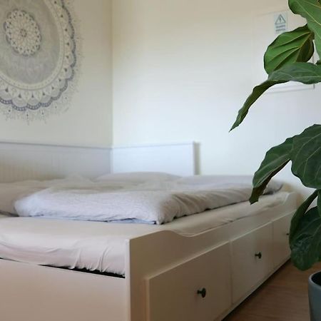 Panorama Apartment Sagres *Pool* מראה חיצוני תמונה